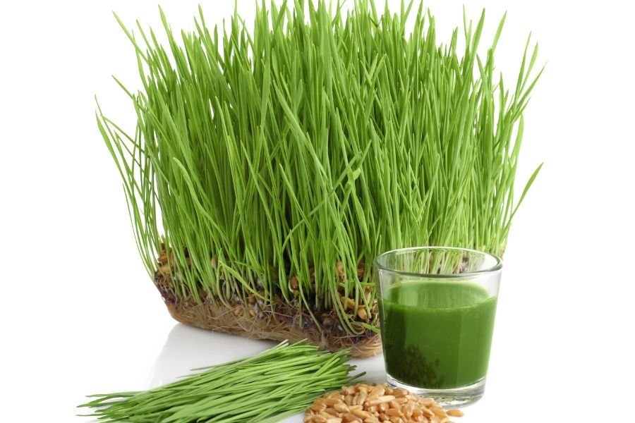 Wheatgrass juice hi-res stock photography and images - Alamy