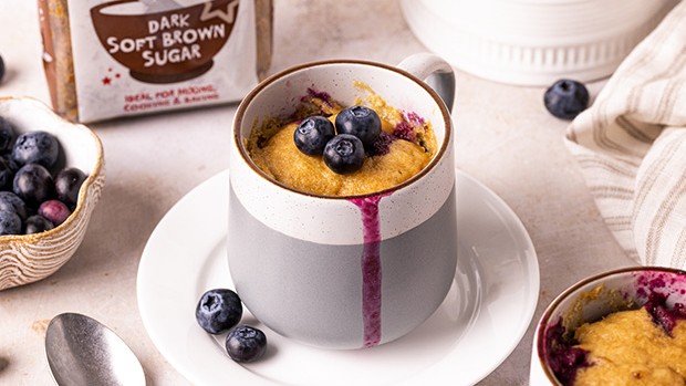 Image of Blueberry & Vanilla Mug Cake