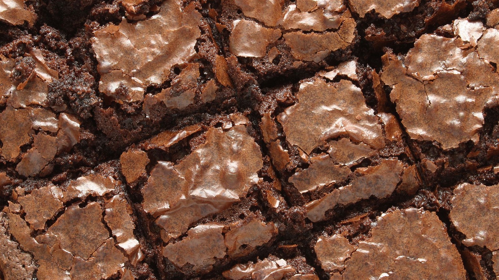 Image of Chocolate Brownies
