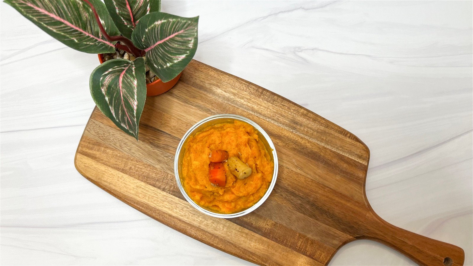 Image of Pureed Diet Recipe - Vegetable Puree