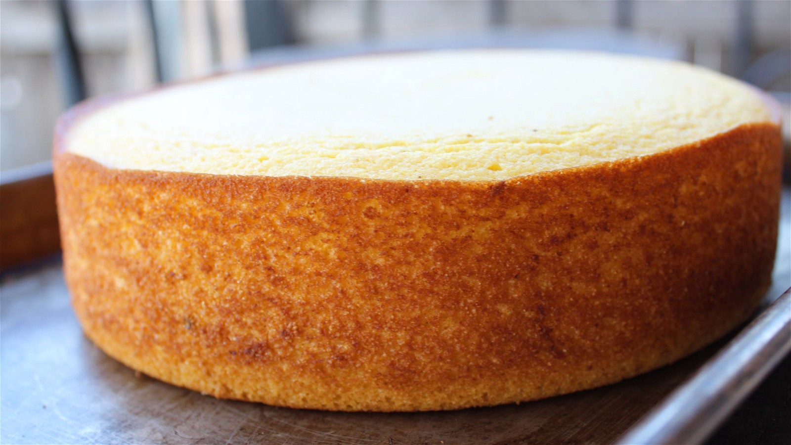 Image of Gather Cornbread