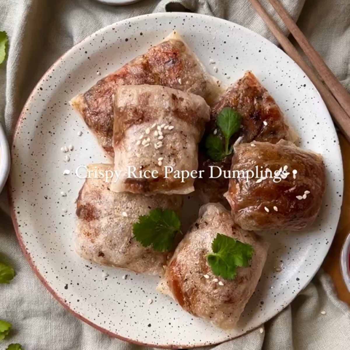 Crispy Rice Paper Dumplings