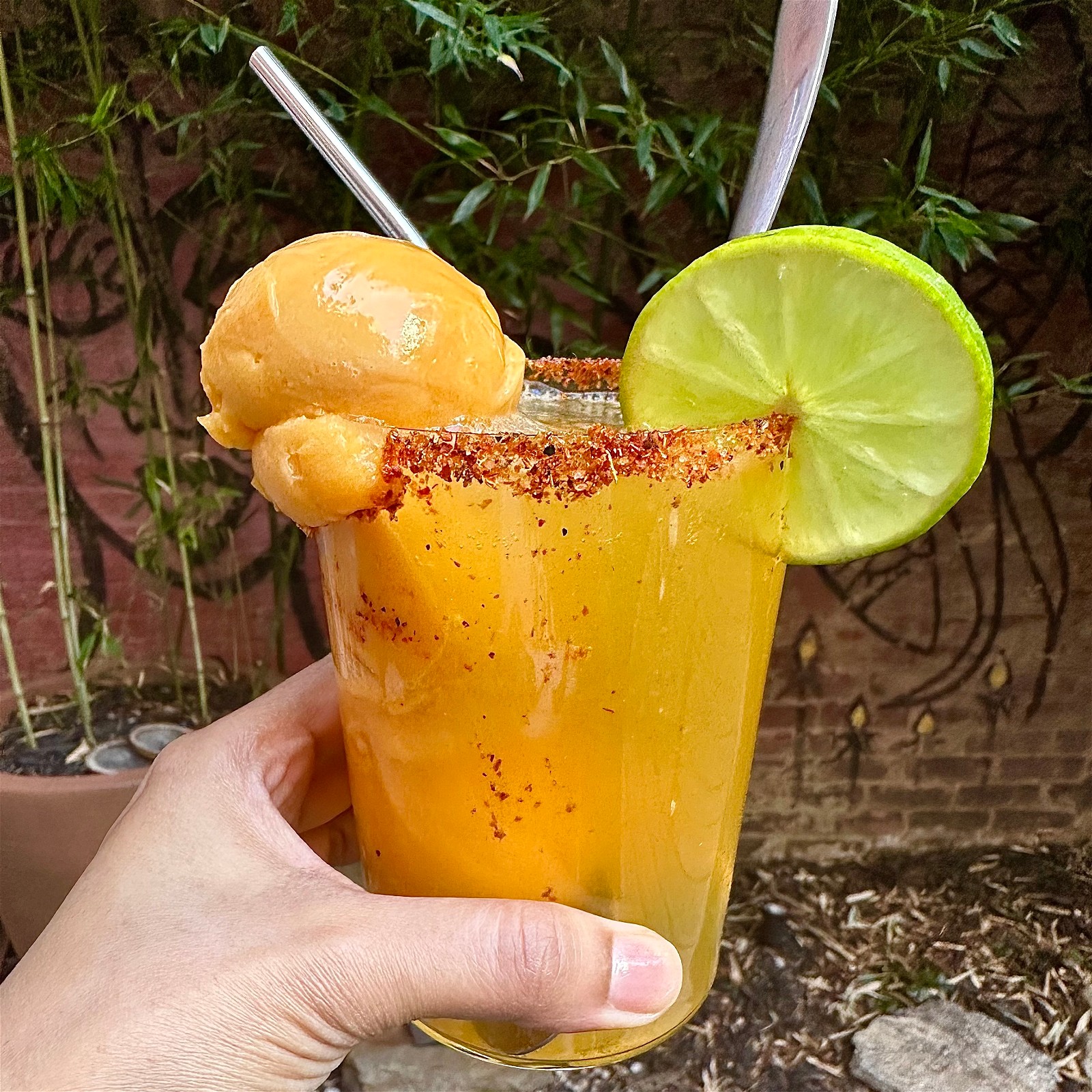 Image of Golden Elixir Mango Float