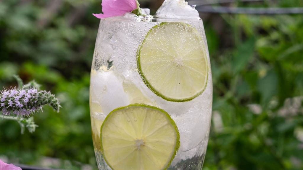 Image of Woodland Gin & Tonic