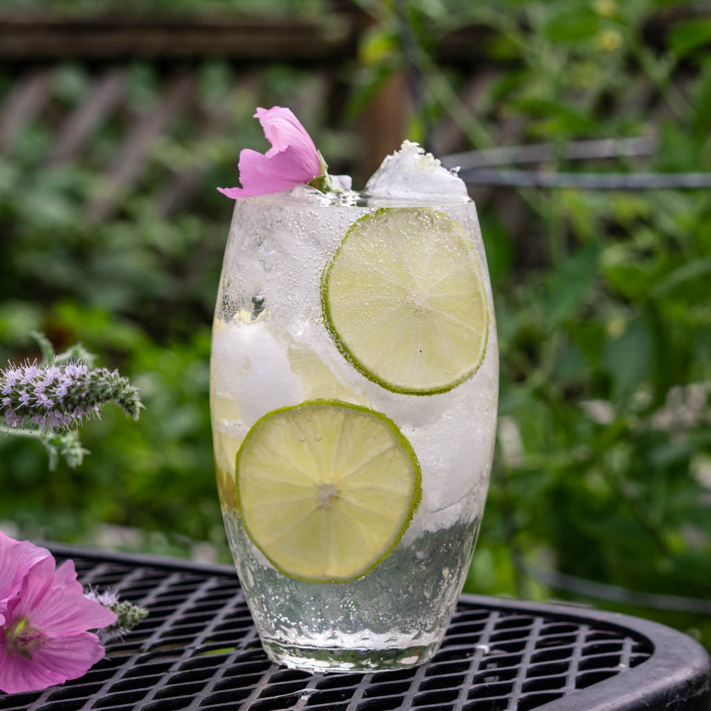 Woodland Gin & Tonic
