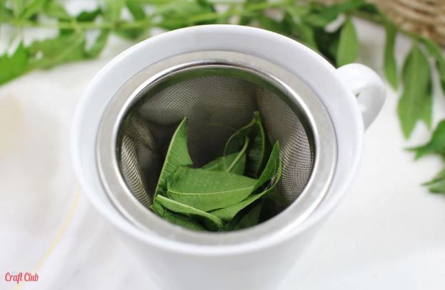 Image of Best LEMON VERBENA Tea Recipe | Step By Step Instructions