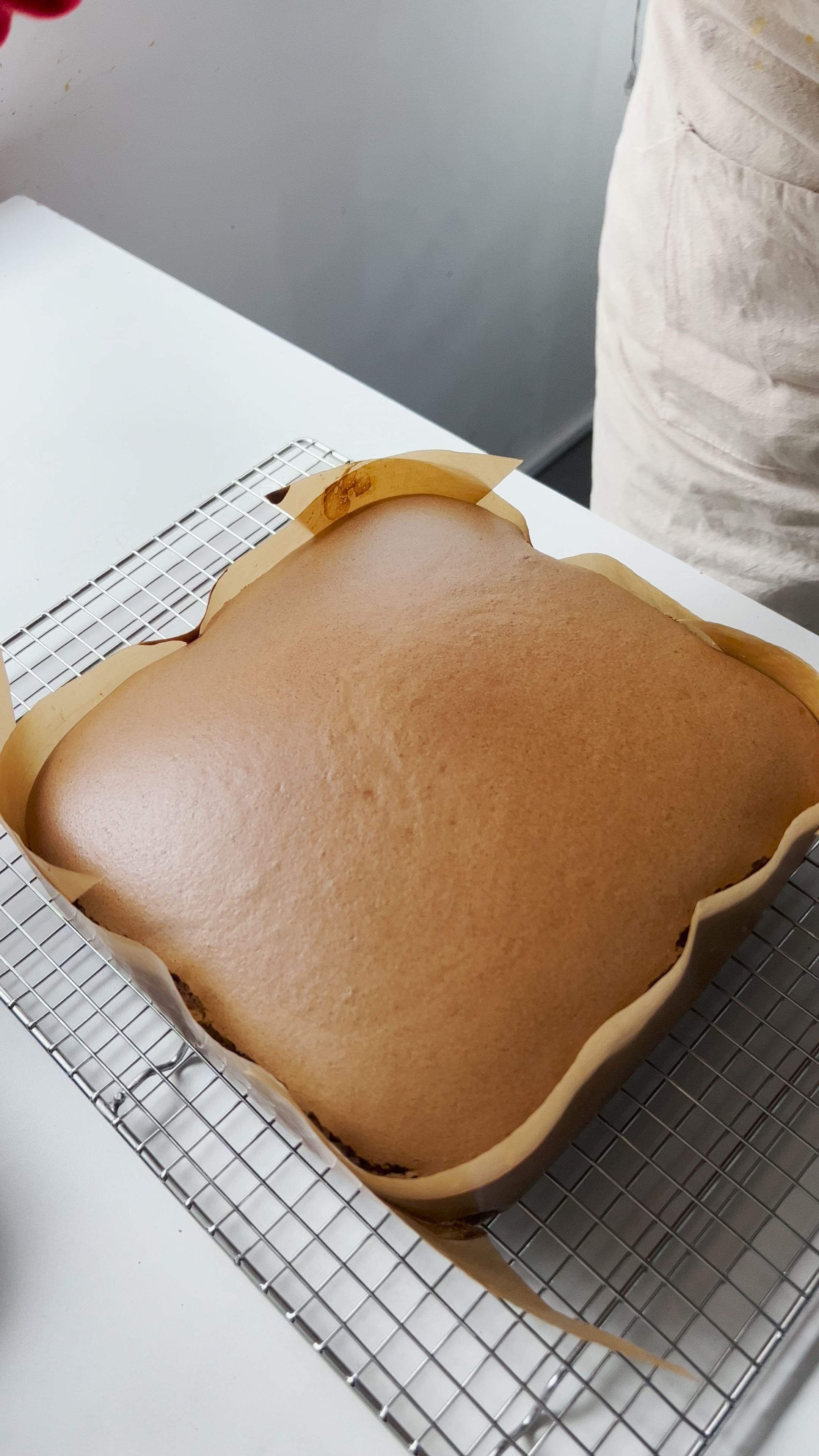 Loaf Pan Castella Cake – U-Taste