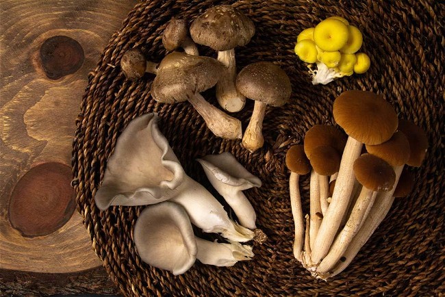 Image of Mushroom Bourguignon