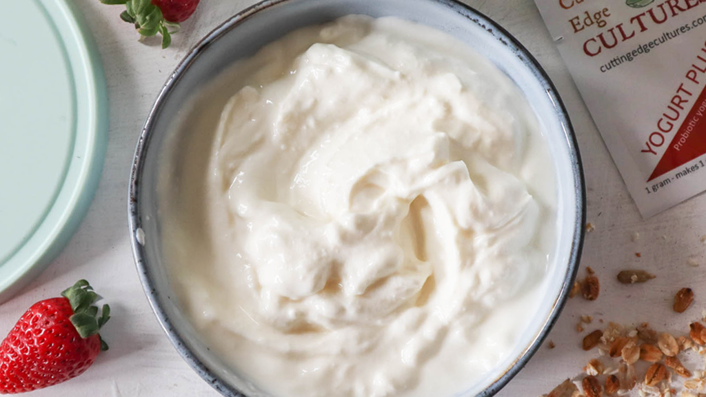 Image of Make homemade probiotic yogurt with cutting edge cultures