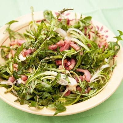 Dandelion Salad with Crispy Pecans & Crumbled Bacon