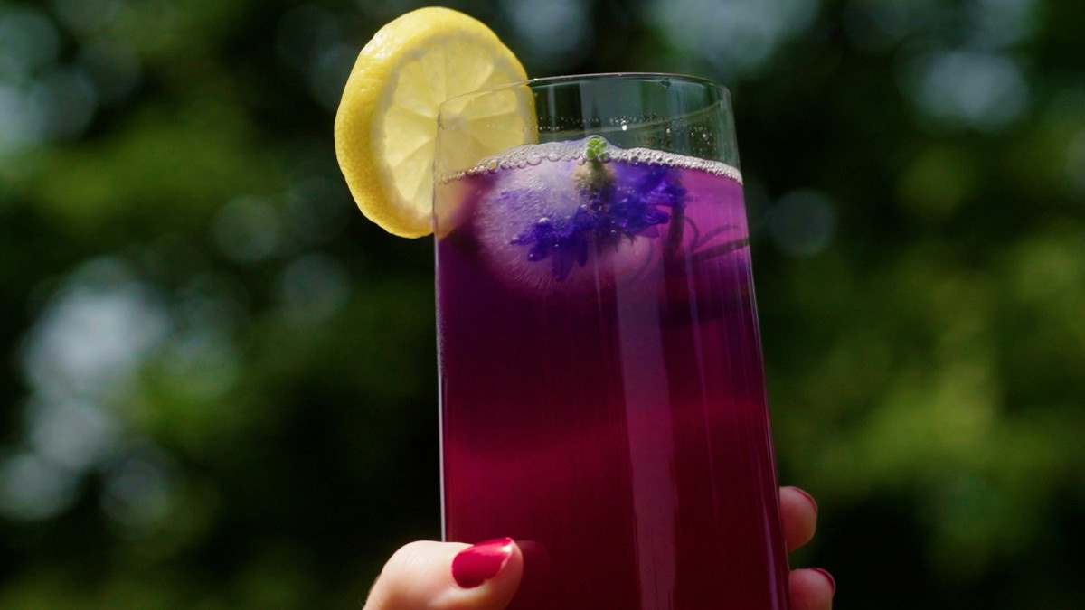 Butterfly Pea Tea Lemonade Soda