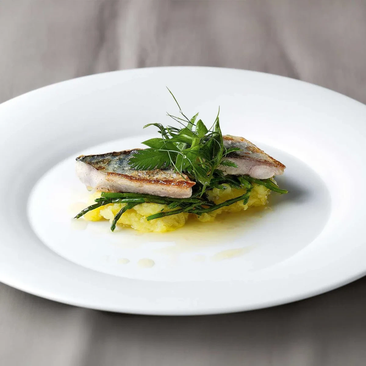 Makrelenfilet auf Meeresspargel und Kartoffelstampf