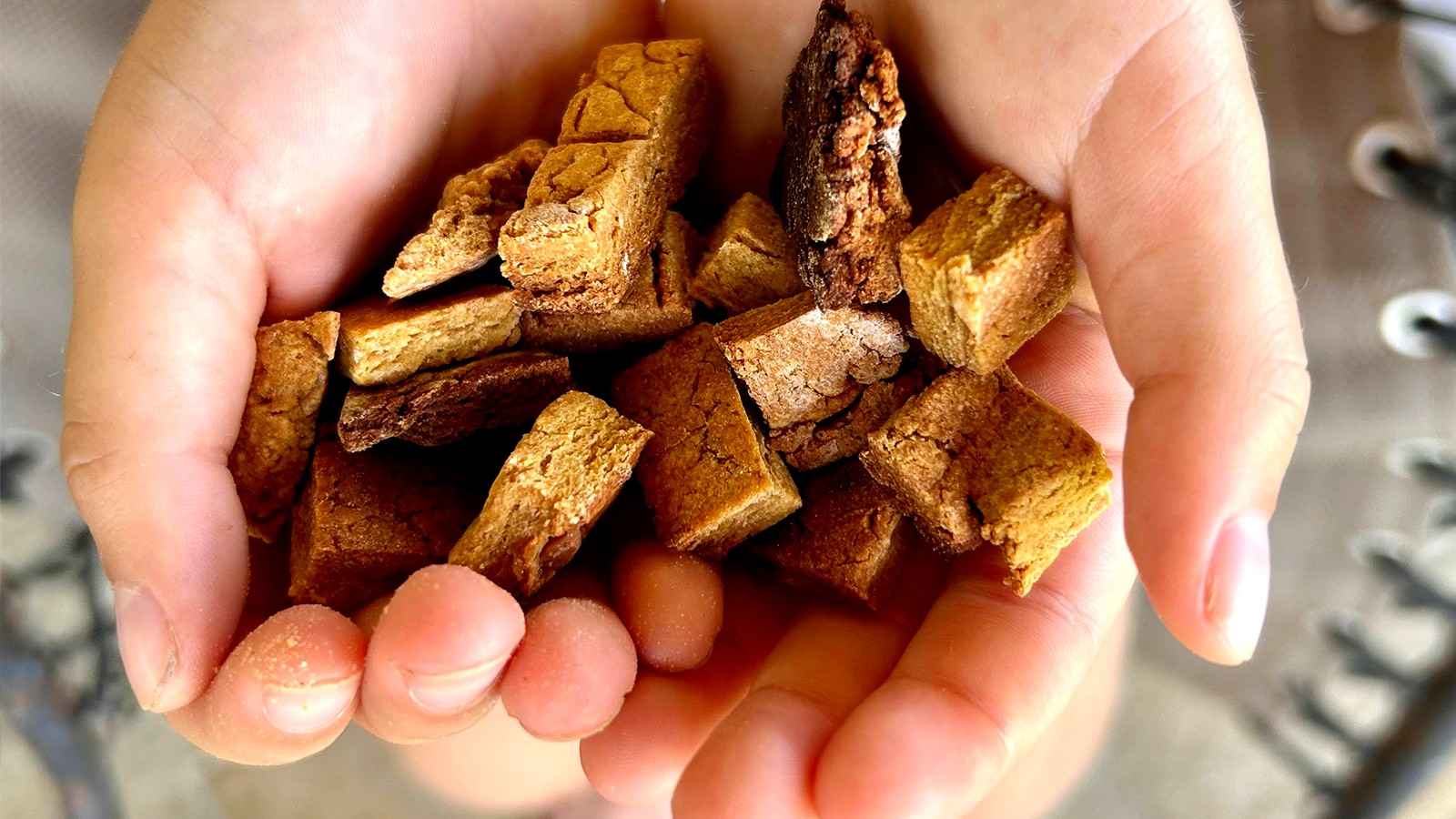 Image of 'Ulu Flour Doggie Treats