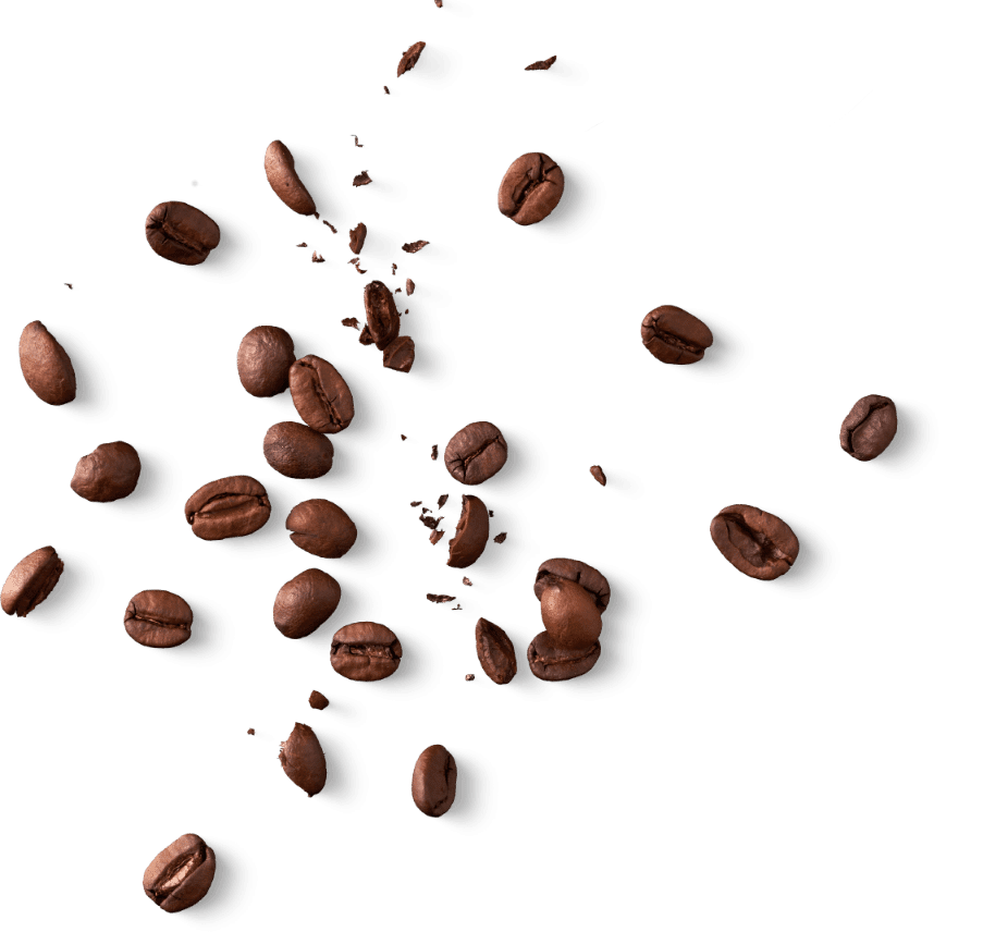 Collagen + Elastin Iced Mocha