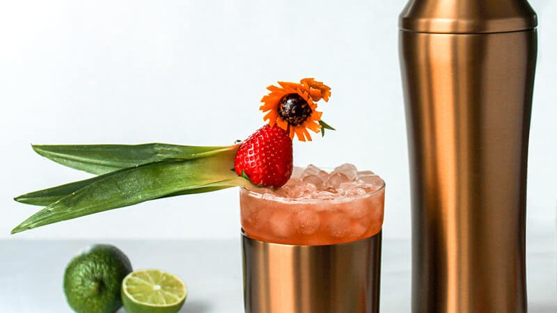 Elevated Craft® Hybrid Cocktail Shaker