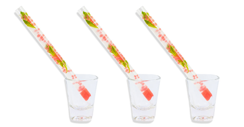 Watermelon Mojito Recipe