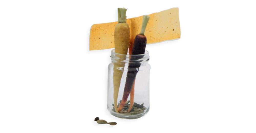 Carrot And Cardamom Tuille Recipe