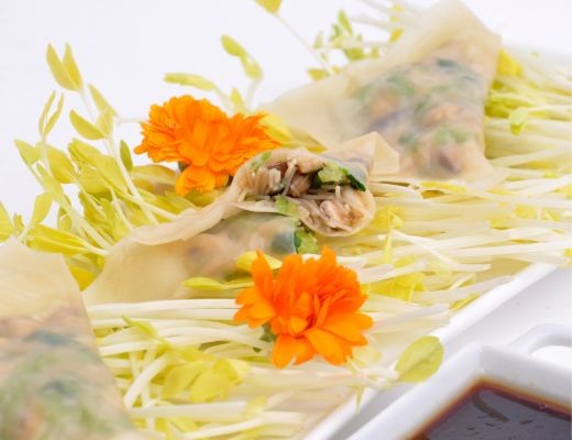 Image of Vegetarian Wontons