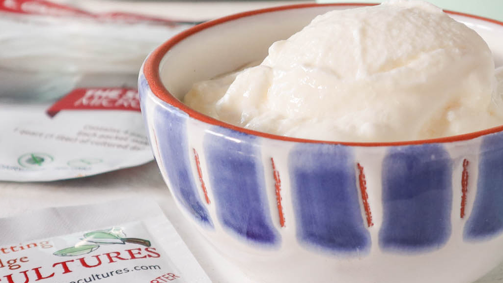 Image of How to make yogurt with Lactobacillus Gasseri
