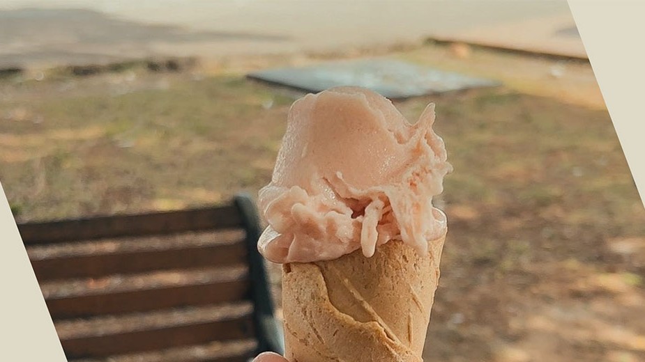 Image of Apricot Ice Cream Recipe