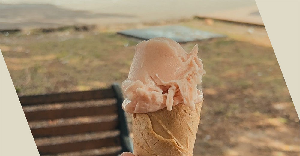 Apricot Ice Cream Recipe