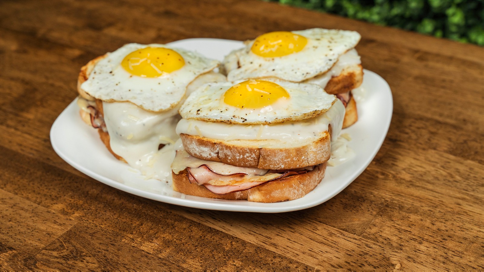 Image of Feed 4 for $20 Croque Madame