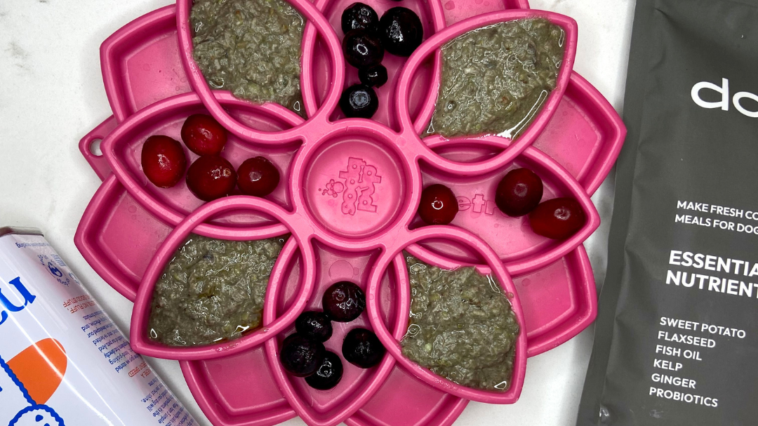 Image of Chicken and Berry Homemade Dog Food Recipe
