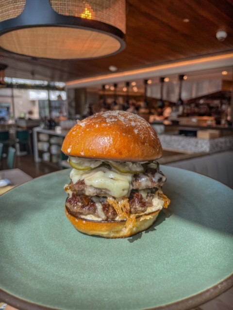 Meridian X-Tudo Burger 
