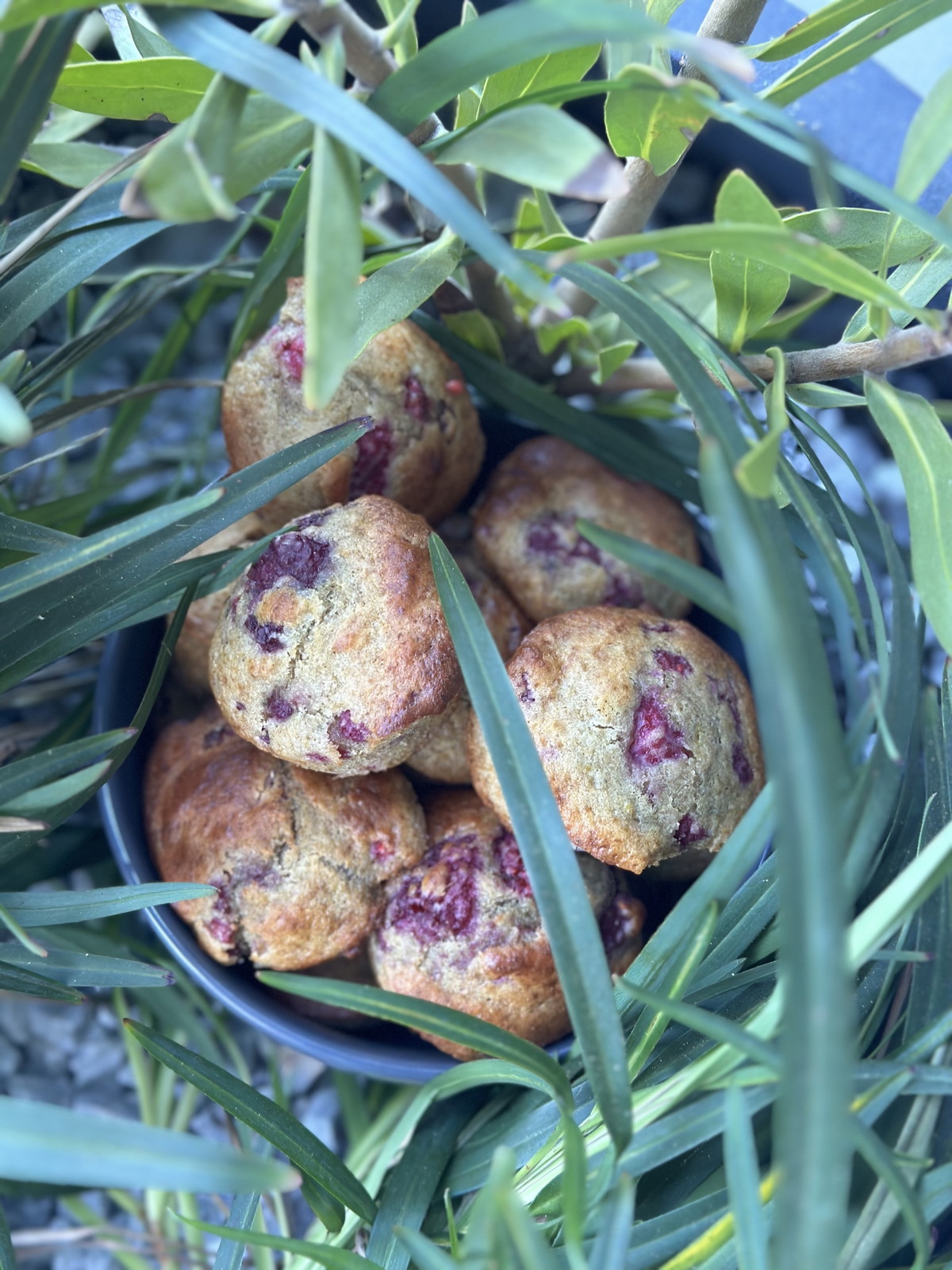 Healthy Muffins-your way!