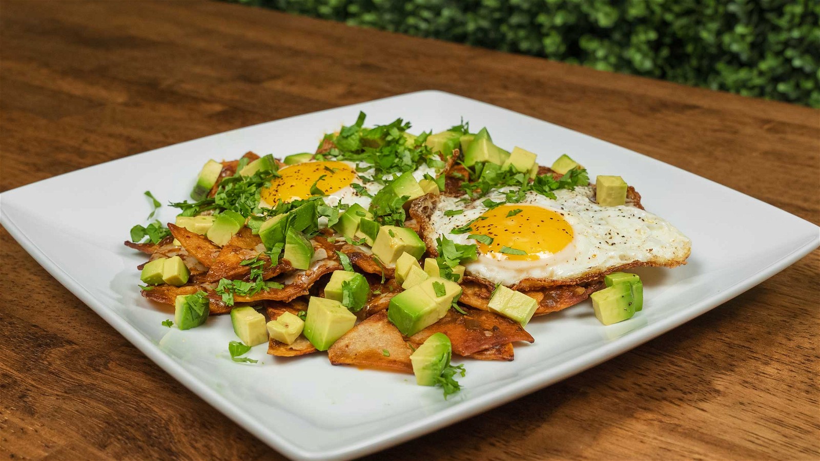 Image of Feed 4 for $20 Chilaquiles