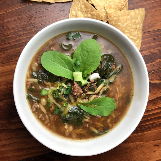 Ground Elk Burger Soup