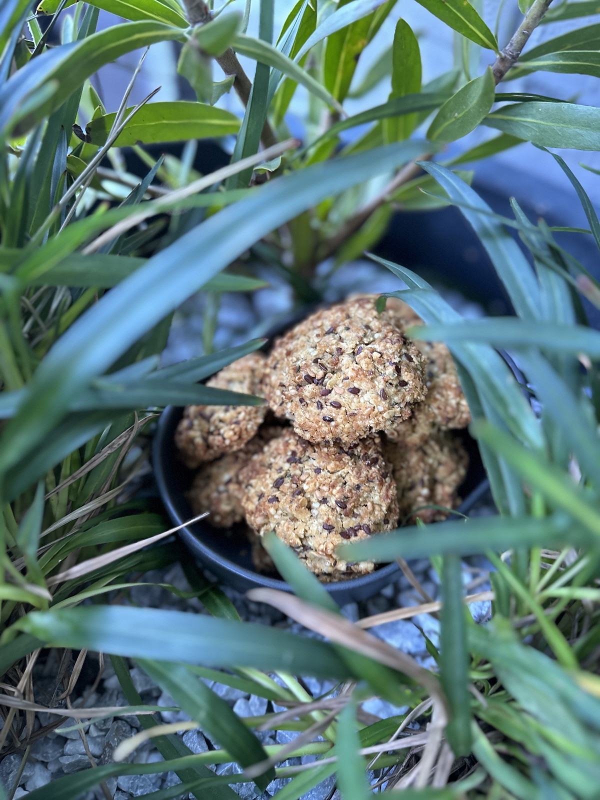 Flaxseed, Coconut & Oat Cookies