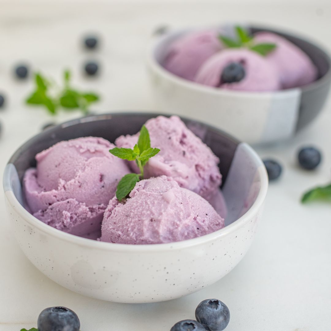 Blueberry Frozen Yogurt