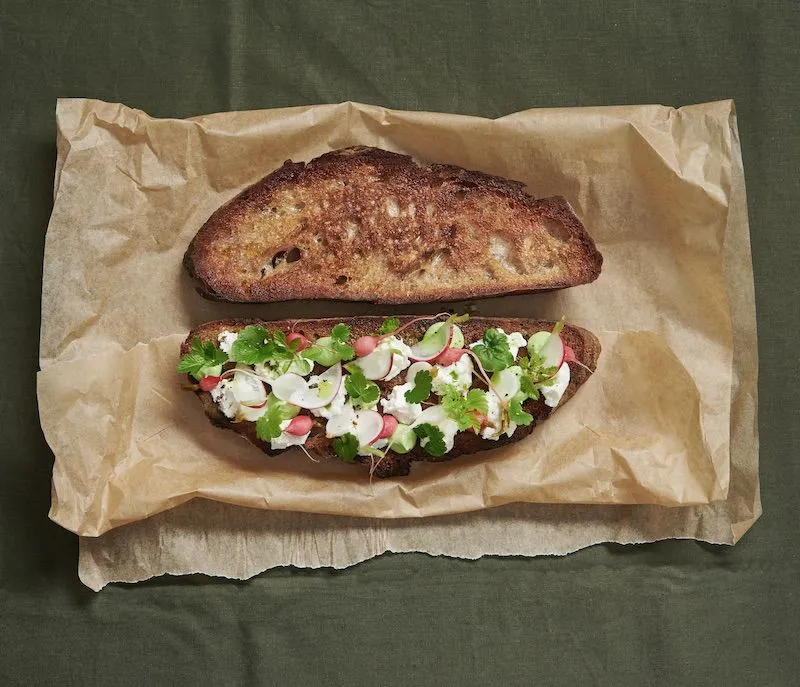 Röstbrotscheibe mit Radieschen, Giersch und Gundermann