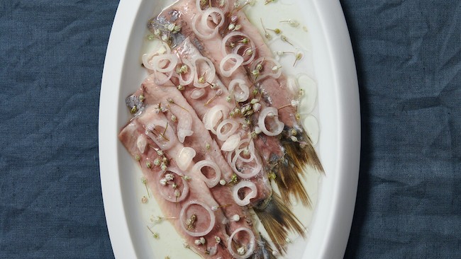 Rezept für eingelegte Matjes – fast pur