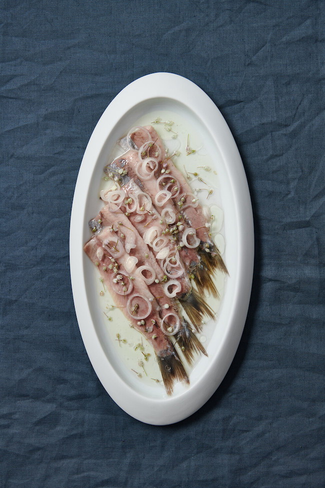 Rezept für eingelegte Matjes – fast pur