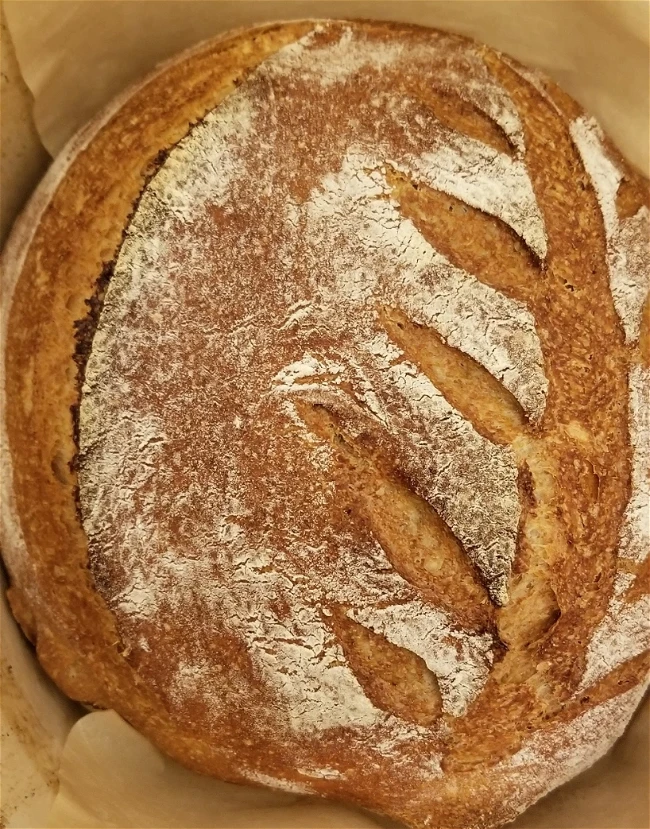Image of Easy Overnight Red Fife Bread