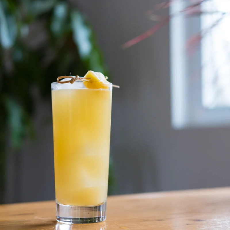 Kingston Sour