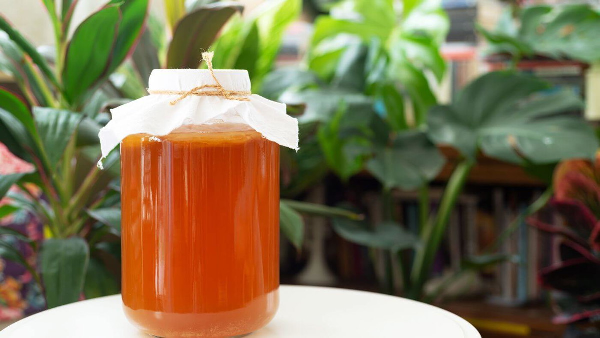 Kombucha Genmaicha
