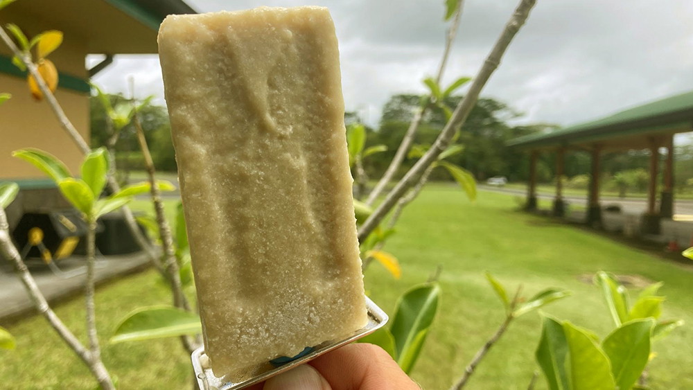 ʻUlu and Maiʻa Popsicles