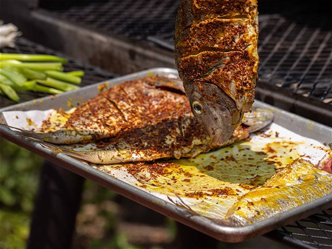 Image of Grilled Fish with Preserved Lemon and Herby Harissa Recipe