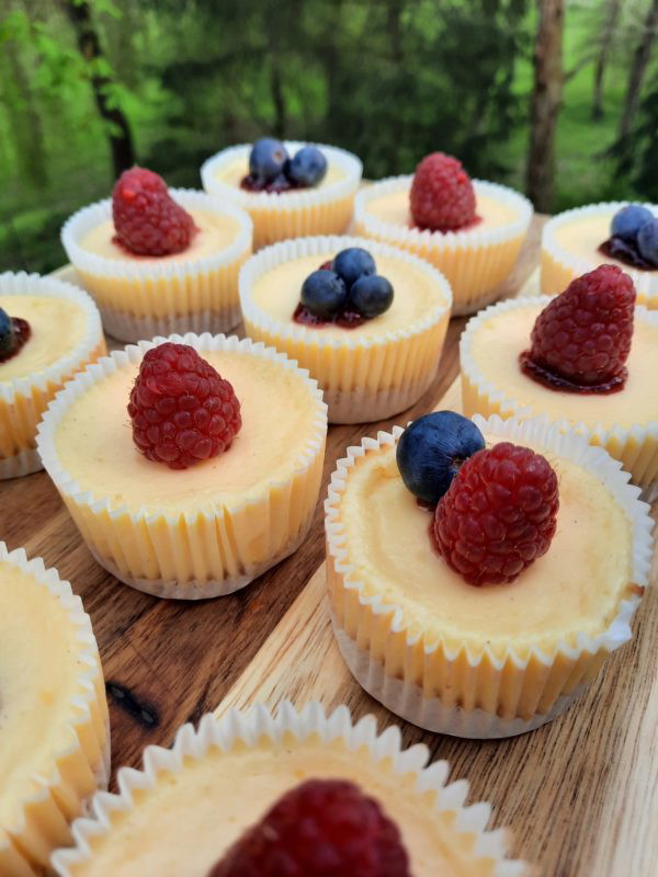 verführerische Mini-Cheesecakes