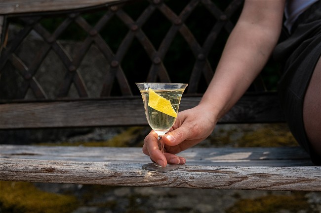 Image of The World's Best Martini