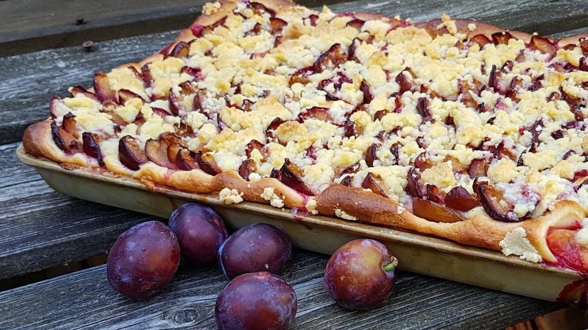 klassischer Zwetschgenkuchen vom Blech-image