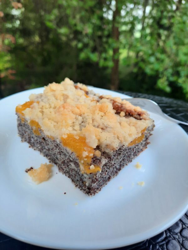 sommerliche Mohn-Quark-Schnitte