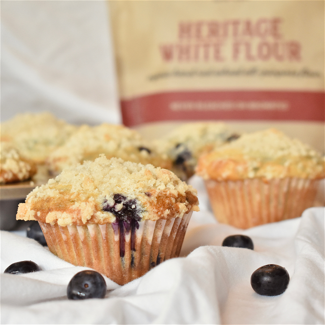 Image of Heritage Blueberry Streusel Muffin Recipe