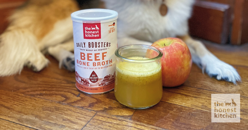 Apple Cider Recipe for Dogs
