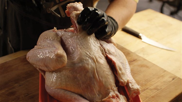 Image of Spatchcock the turkey. To take the backbone out, place the...