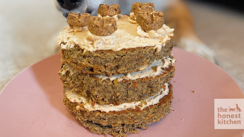 Peanut Butter Cake For Dogs Recipe