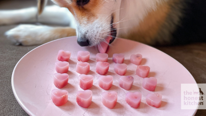 Image of Raspberry Gummies Recipe For Dogs
